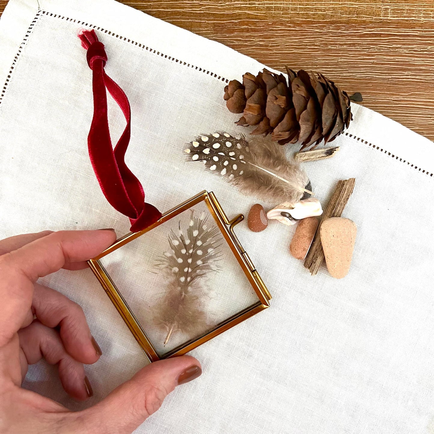 Pressed feather displayed inside brass glass frame