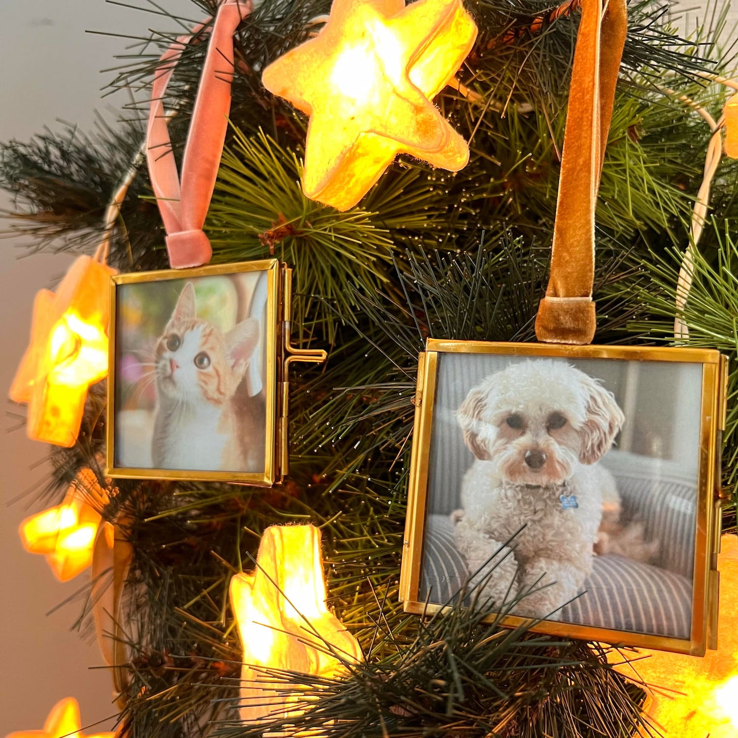 Mini frame hanging on Christmas tree branch with photo inside