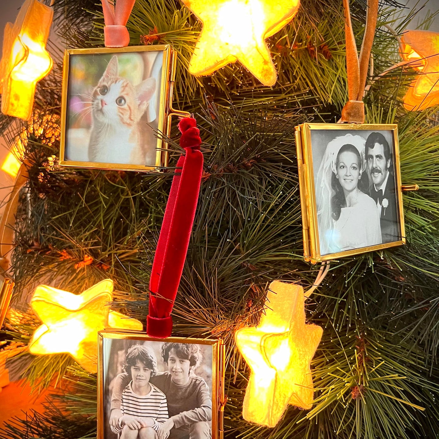 Mini frame hanging on Christmas tree branch with photo inside