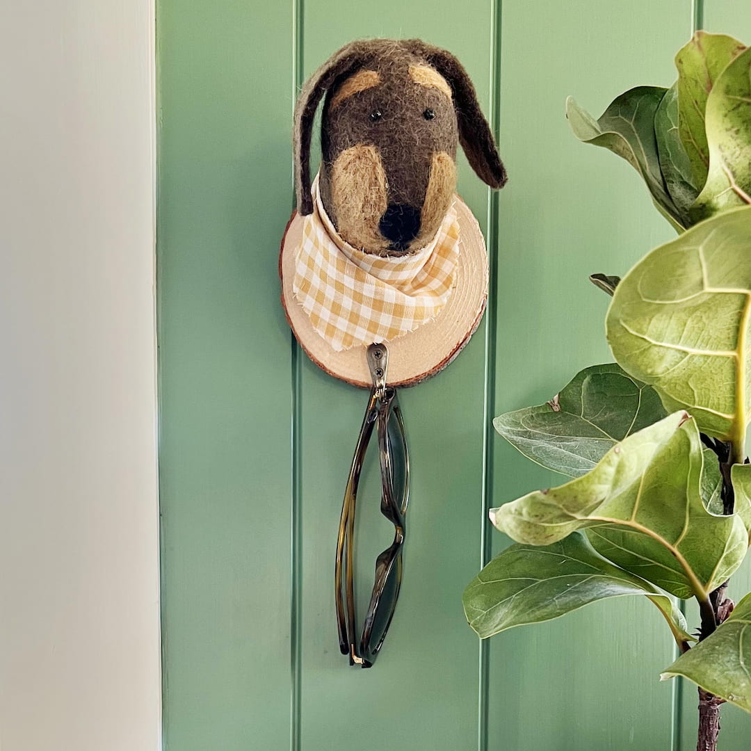 Dog wall hook holding sunglasses