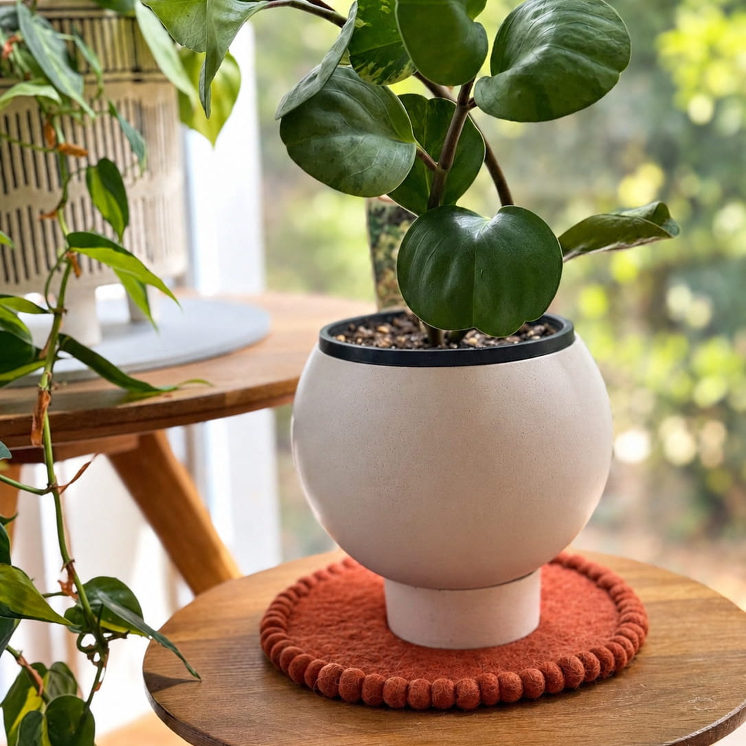 A potted green plant with glossy heart-shaped leaves in a round off-white ceramic pot, placed on a wooden stool with a rust-colored textured coaster. The background shows a softly blurred indoor garden scene with natural light.