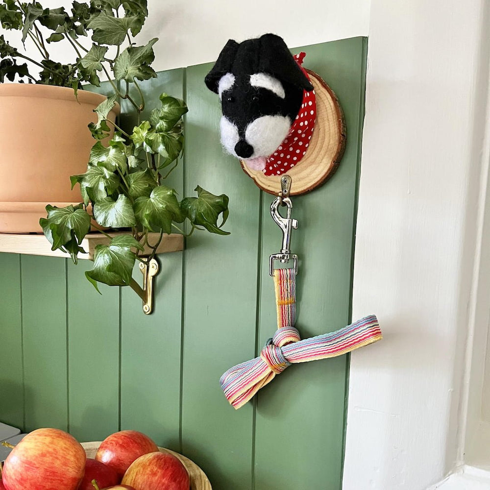 
                  
                    Dog Wall Hook - Peanut - Home Dweller
                  
                